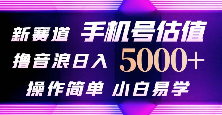 抖音不出境直播【手机号估值】最新撸音浪，日入5000+，简单易学，适合…-智领未来创业网