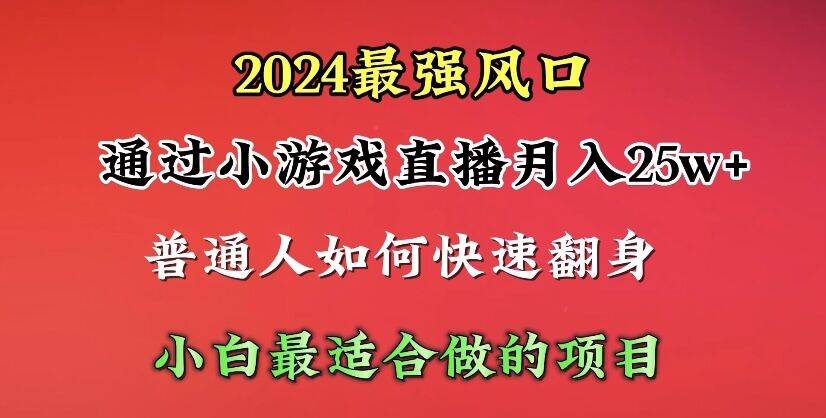 2024年最强风口，通过小游戏直播月入25w+单日收益5000+小白最适合做的项目-智领未来创业网