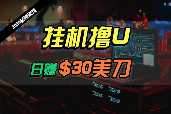日赚30美刀，2024最新海外挂机撸U内部项目，全程无人值守，可批量放大-智领未来创业网