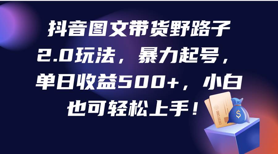 抖音图文带货野路子2.0玩法，暴力起号，单日收益500+，小白也可轻松上手！-智领未来创业网