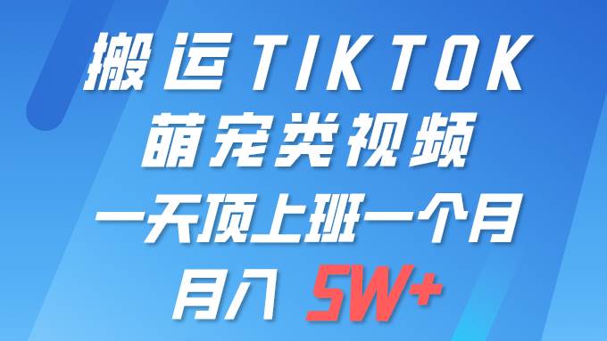一键搬运TIKTOK萌宠类视频 一部手机即可操作 所有平台均可发布 轻松月入5W+-智领未来创业网