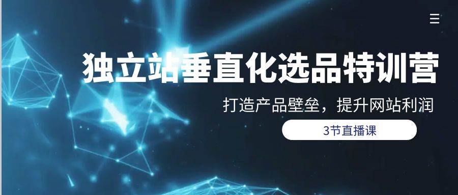 独立站-垂直化选品训练营，打造产品壁垒，提升网站利润（3节直播课）-智领未来创业网