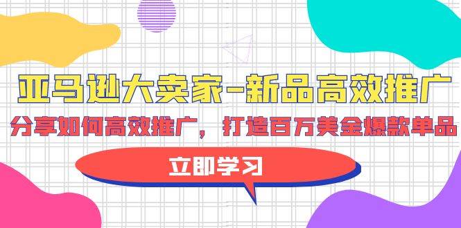 亚马逊 大卖家-新品高效推广，分享如何高效推广，打造百万美金爆款单品-智领未来创业网