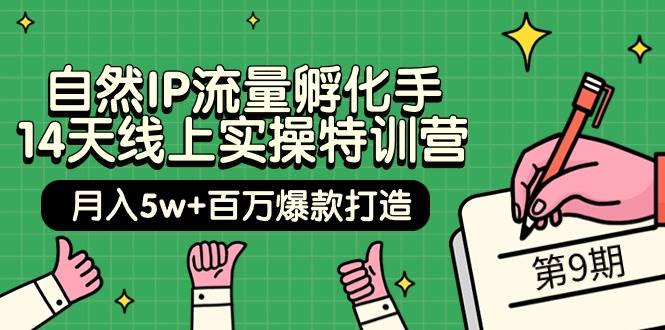 自然IP流量孵化手 14天线上实操特训营【第9期】月入5w+百万爆款打造 (74节)-智领未来创业网