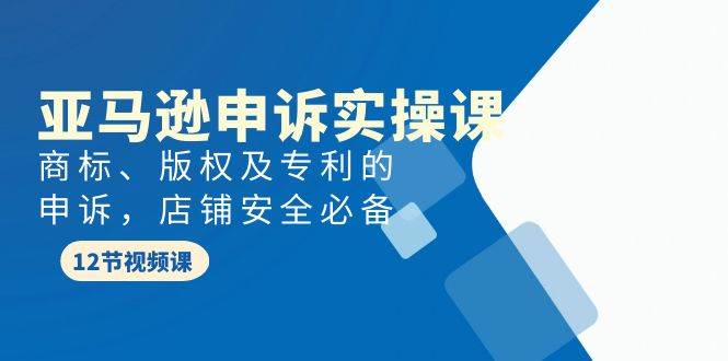 亚马逊-申诉实战课，商标、版权及专利的申诉，店铺安全必备-智领未来创业网