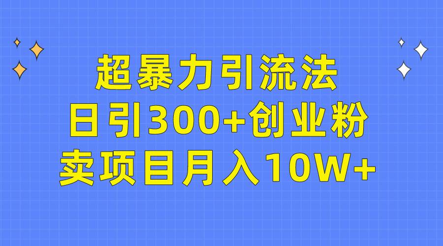 超暴力引流法，日引300+创业粉，卖项目月入10W+-智领未来创业网