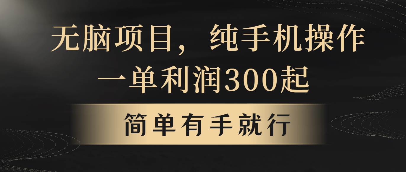 无脑项目，一单几百块，轻松月入5w+，看完就能直接操作-智领未来创业网