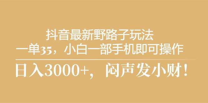 抖音最新野路子玩法，一单35，小白一部手机即可操作，，日入3000+，闷…-智领未来创业网