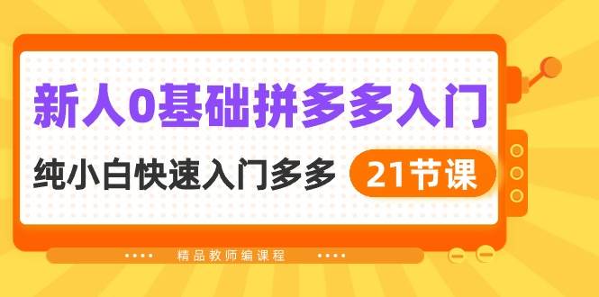 新人0基础拼多多入门，纯小白快速入门多多（21节课）-智领未来创业网