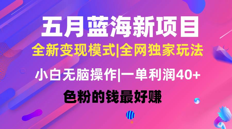 五月蓝海项目全新玩法，小白无脑操作，一天几分钟，矩阵操作，月入4万+-智领未来创业网
