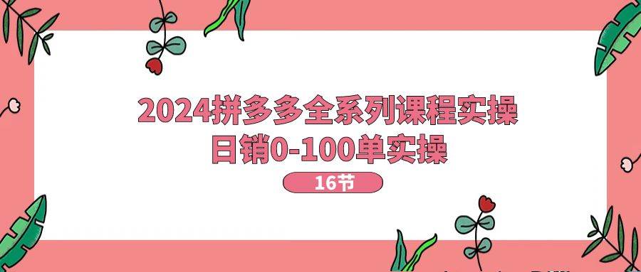 2024拼多多全系列课程实操，日销0-100单实操【16节课】-智领未来创业网