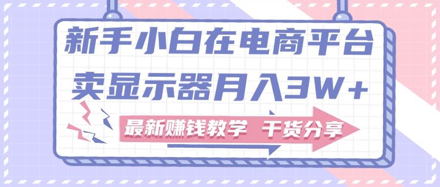 新手小白如何做到在电商平台卖显示器月入3W+，最新赚钱教学干货分享-智领未来创业网