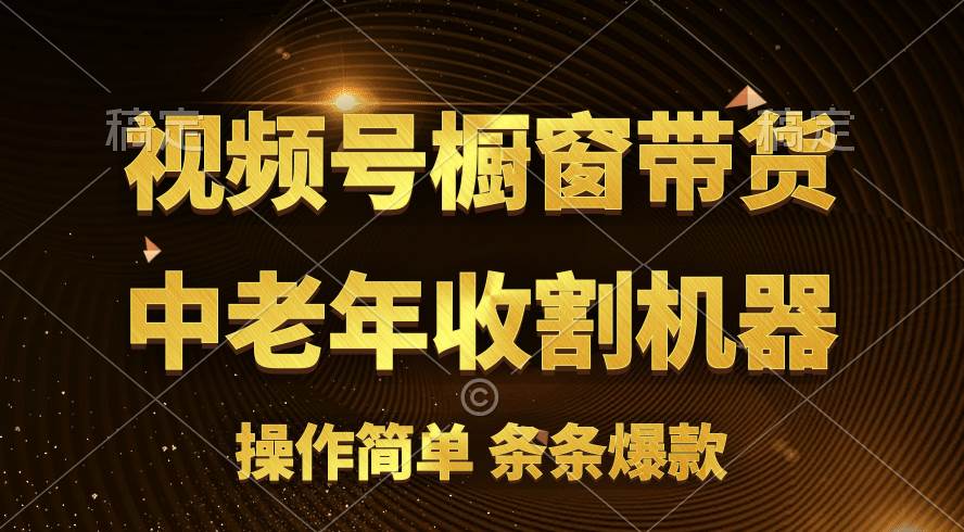 [你的孩子成功取得高位]视频号最火爆赛道，橱窗带货，流量分成计划，条…-智领未来创业网