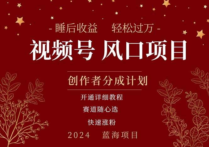 拥有睡眠收益的微信视频号大风口项目，轻松月入过万+，多赛道选择，可…-智领未来创业网