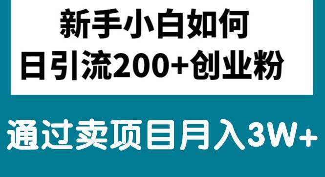 新手小白日引流200+创业粉,通过卖项目月入3W+-智领未来创业网