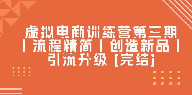 虚拟电商训练营第三期丨流程精简丨创造新品丨引流升级 [完结]-智领未来创业网