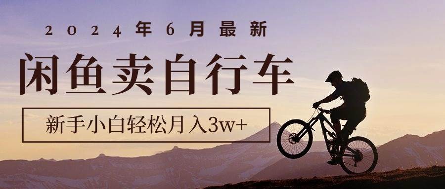 2024年6月最新闲鱼卖自行车，新手小白轻松月入3w+项目-智领未来创业网