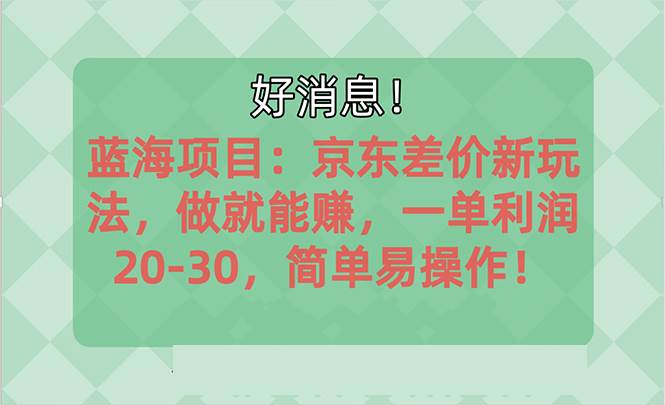 越早知道越能赚到钱的蓝海项目：京东大平台操作，一单利润20-30，简单…-智领未来创业网