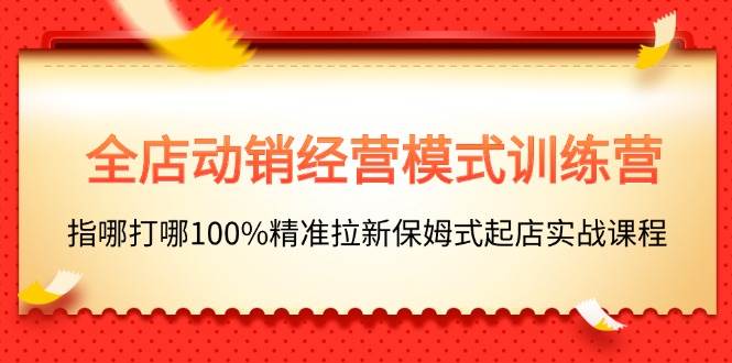全店动销-经营模式训练营，指哪打哪100%精准拉新保姆式起店实战课程-智领未来创业网