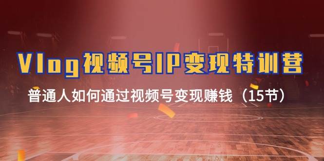 图片[1]-Vlog 视频号IP变现特训营，普通人如何通过视频号变现赚钱（15节）-智领未来创业网