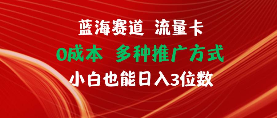 蓝海赛道 流量卡 0成本 小白也能日入三位数-智领未来创业网