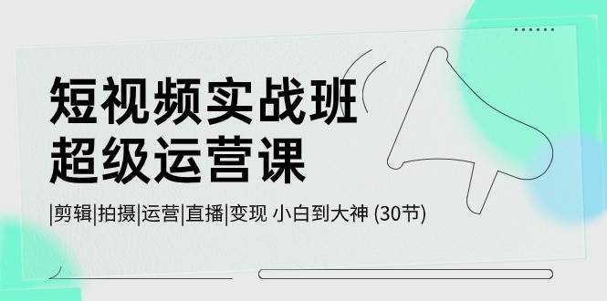 短视频实战班-超级运营课，|剪辑|拍摄|运营|直播|变现 小白到大神 (30节)-智领未来创业网