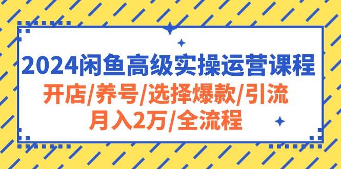 2024闲鱼高级实操运营课程：开店/养号/选择爆款/引流/月入2万/全流程-智领未来创业网