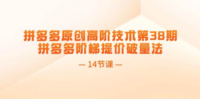 拼多多原创高阶技术第38期，拼多多阶梯提价破量法（14节课）-智领未来创业网
