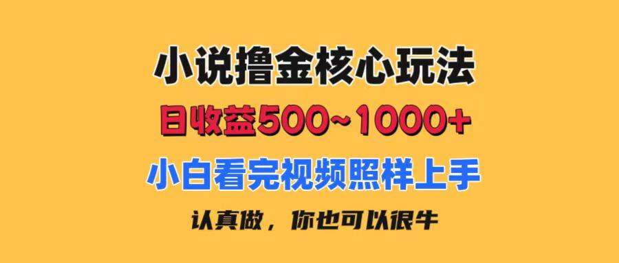 小说撸金核心玩法，日收益500-1000+，小白看完照样上手，0成本有手就行-智领未来创业网