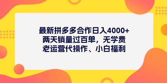 最新拼多多项目日入4000+两天销量过百单，无学费、老运营代操作、小白福利-智领未来创业网