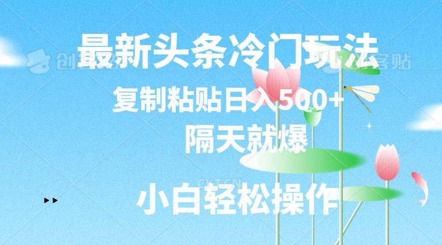 最新头条冷门玩法，隔天就爆，复制粘贴日入500+-智领未来创业网
