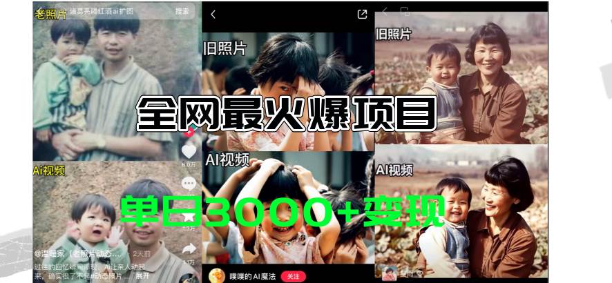 全网爆火的AI让老照片动起来教程，蹭热点日赚3000+，内含免费工具一键…-智领未来创业网