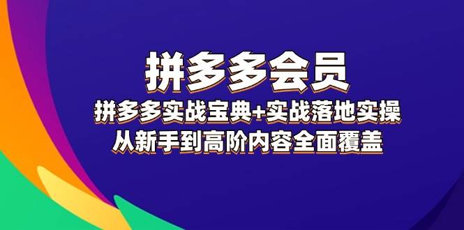 拼多多 会员，拼多多实战宝典+实战落地实操，从新手到高阶内容全面覆盖-智领未来创业网