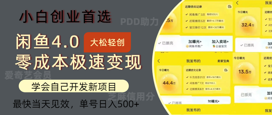 闲鱼0成本极速变现项目，多种变现方式，单号日入500+最新玩法-智领未来创业网