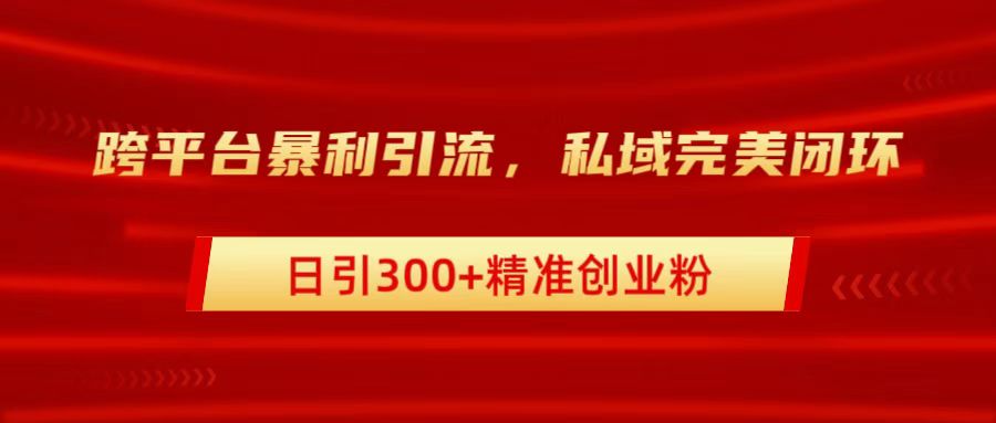 跨平台暴力引流，私域完美闭环，日引300+精准创业粉-智领未来创业网