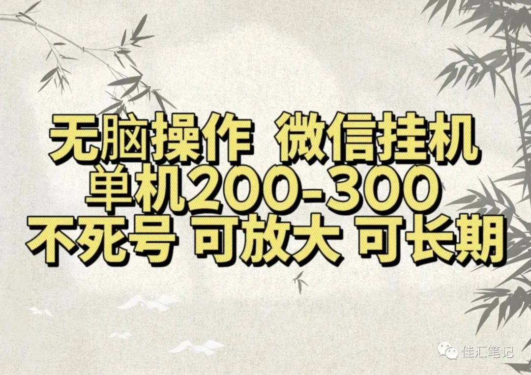 无脑操作微信视频号挂机单机200-300一天，不死号，可放大，工作室实测-智领未来创业网