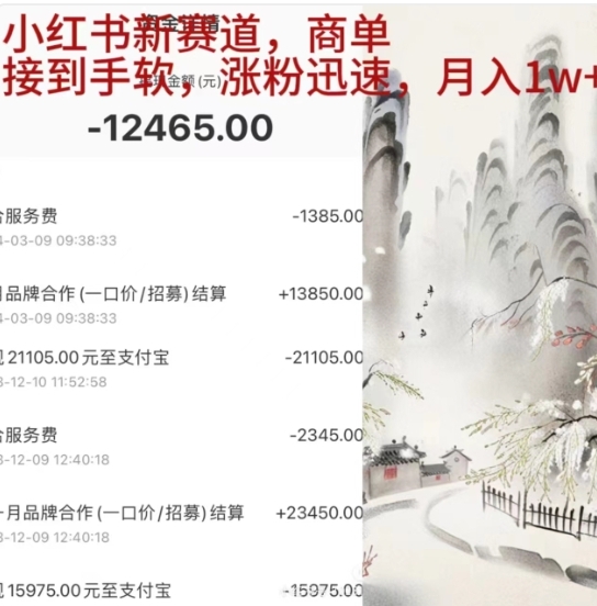 小红书新赛道，商单接到手软，涨粉迅速，一个月1w+-智领未来创业网