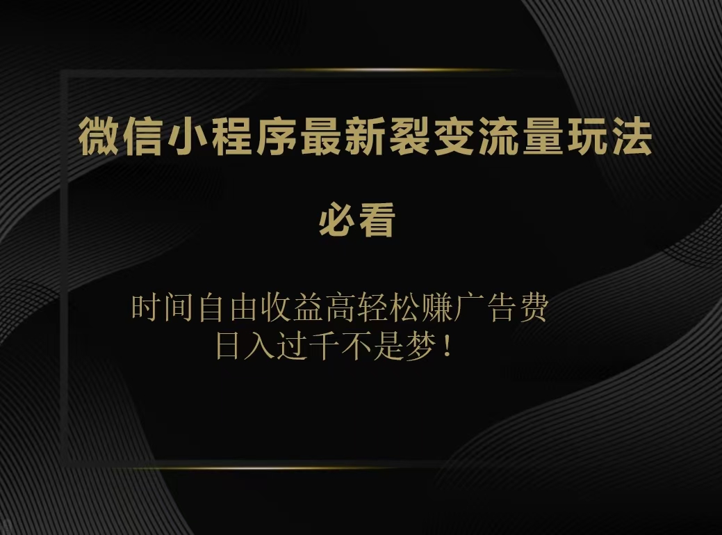 微信小程序最新裂变流量玩法，时间自由收益高轻松赚广告费，日入200-500+-智领未来创业网