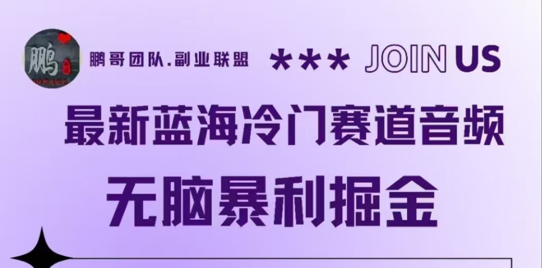 最新蓝海冷门赛道音频，无脑暴利掘金-智领未来创业网