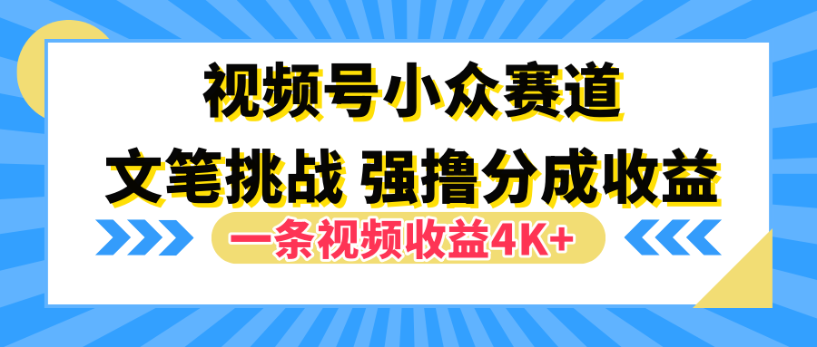 视频号小众赛道，文笔挑战，一条视频收益4K+-智领未来创业网