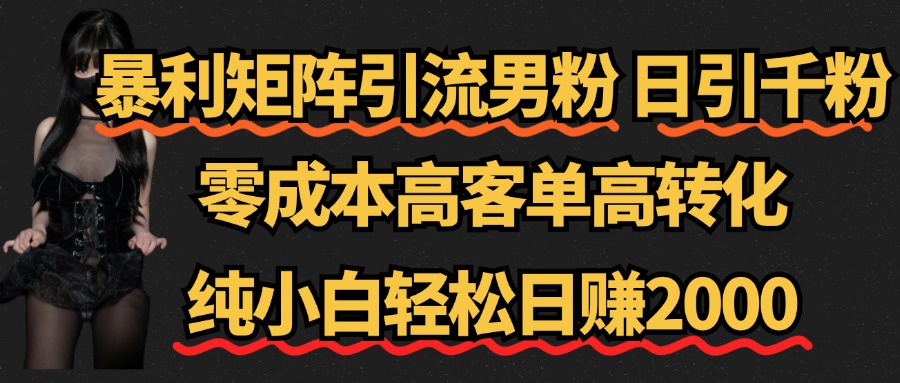 暴利矩阵引流男粉（日引千粉），零成本高客单高转化，纯小白轻松日赚2000+-智领未来创业网