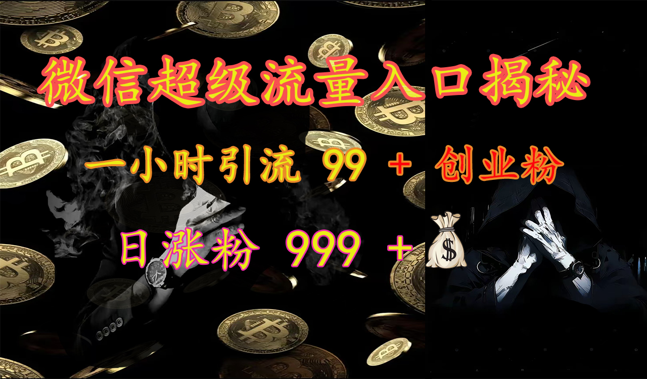 微信超级流量入口揭秘：一小时引流 99 + 创业粉，日涨粉 999 +【揭秘】-智领未来创业网