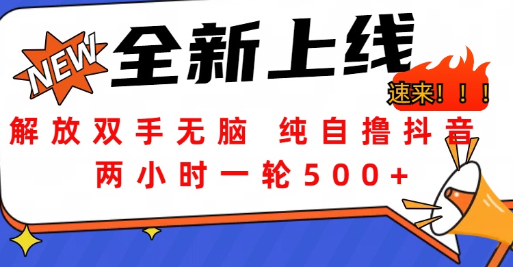 解放双手无脑 纯自撸抖音 两小时一轮500+-智领未来创业网
