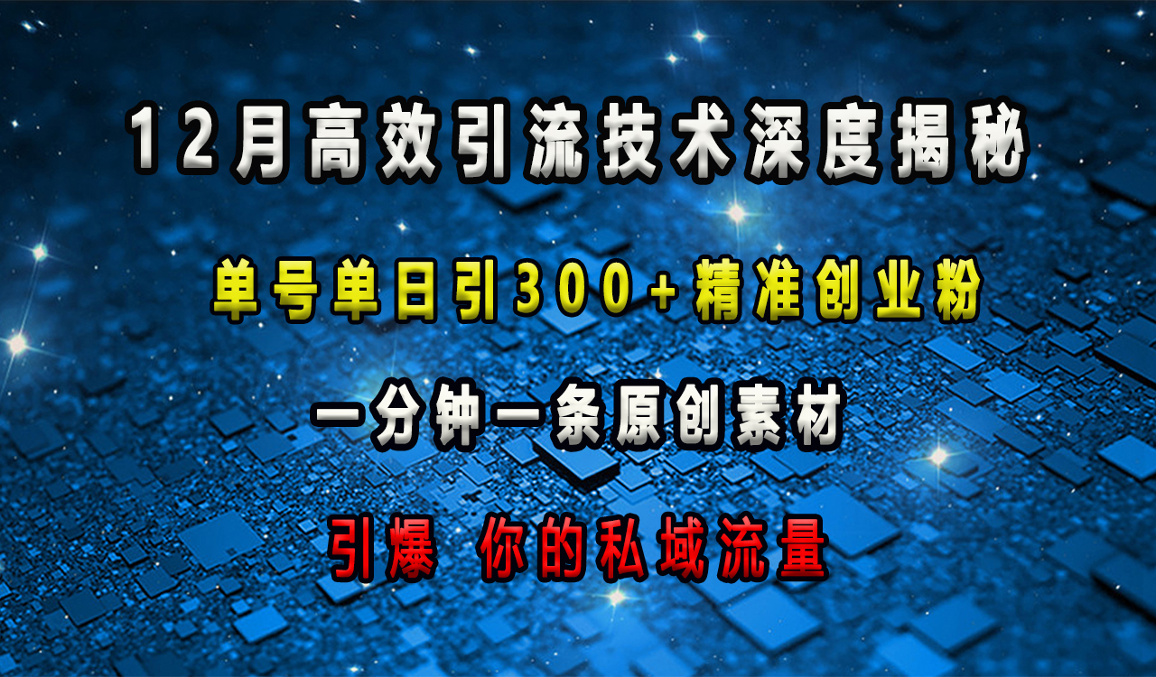 12月高效引流技术深度揭秘 ，单号单日引300+精准创业粉，一分钟一条原创素材，引爆你的私域流量-智领未来创业网