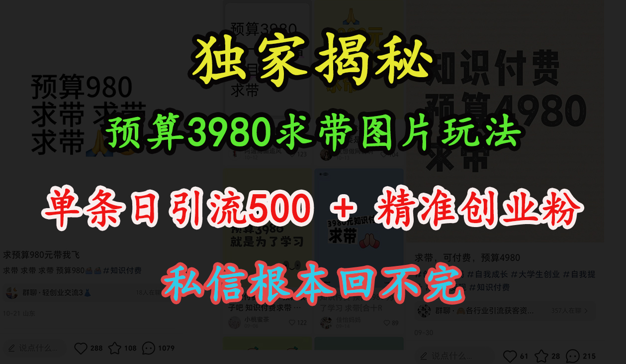 “小红书”预算3980求带 图片玩法，单条日引流500+精准创业粉，私信根本回不完-智领未来创业网