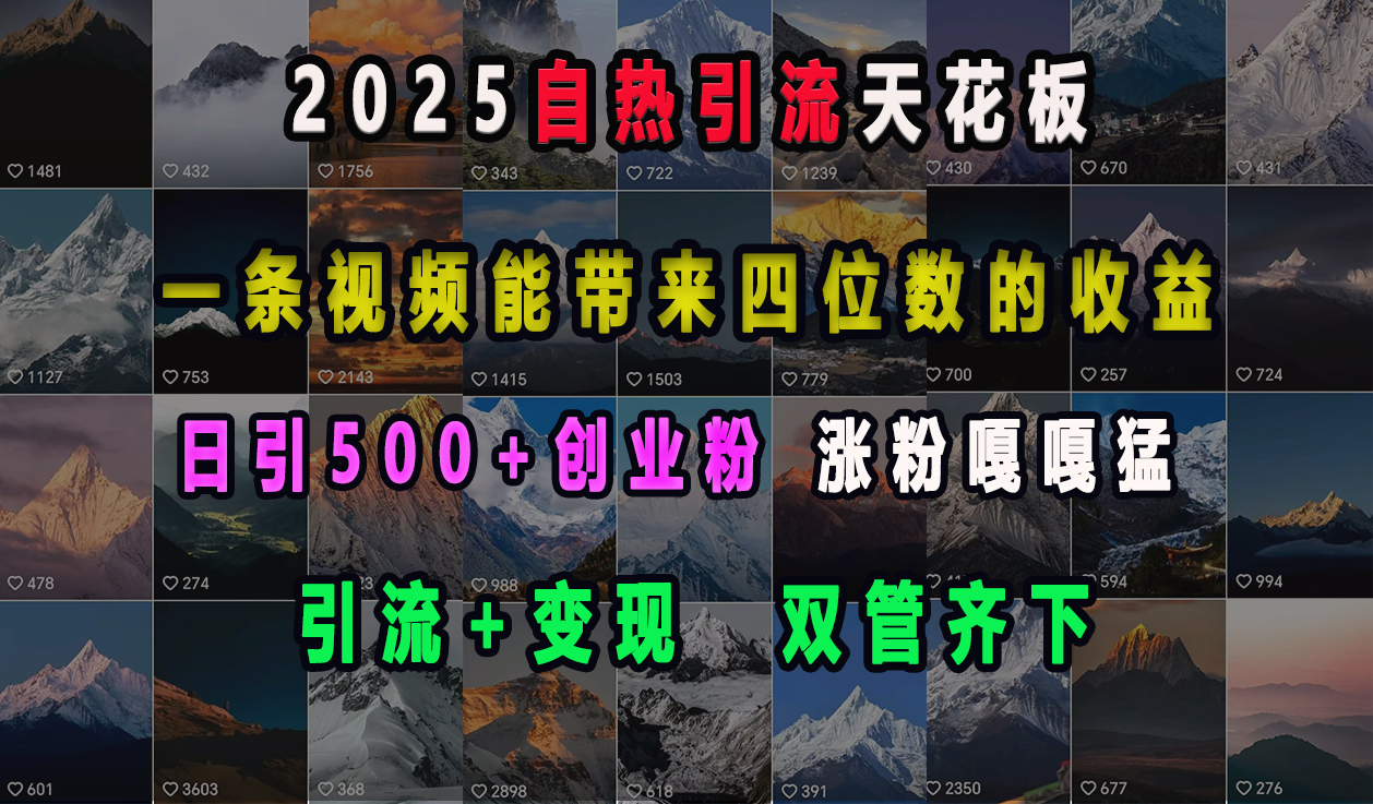 2025自热引流天花板，一条视频能带来四位数的收益，引流+变现双管齐下，日引500+创业粉，涨粉嘎嘎猛-智领未来创业网