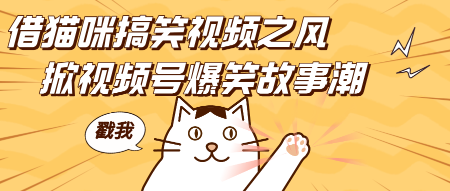 借猫咪搞笑视频之风，掀视频号爆笑故事潮，轻松日赚四位数，开启无门槛赚钱新体验！-智领未来创业网
