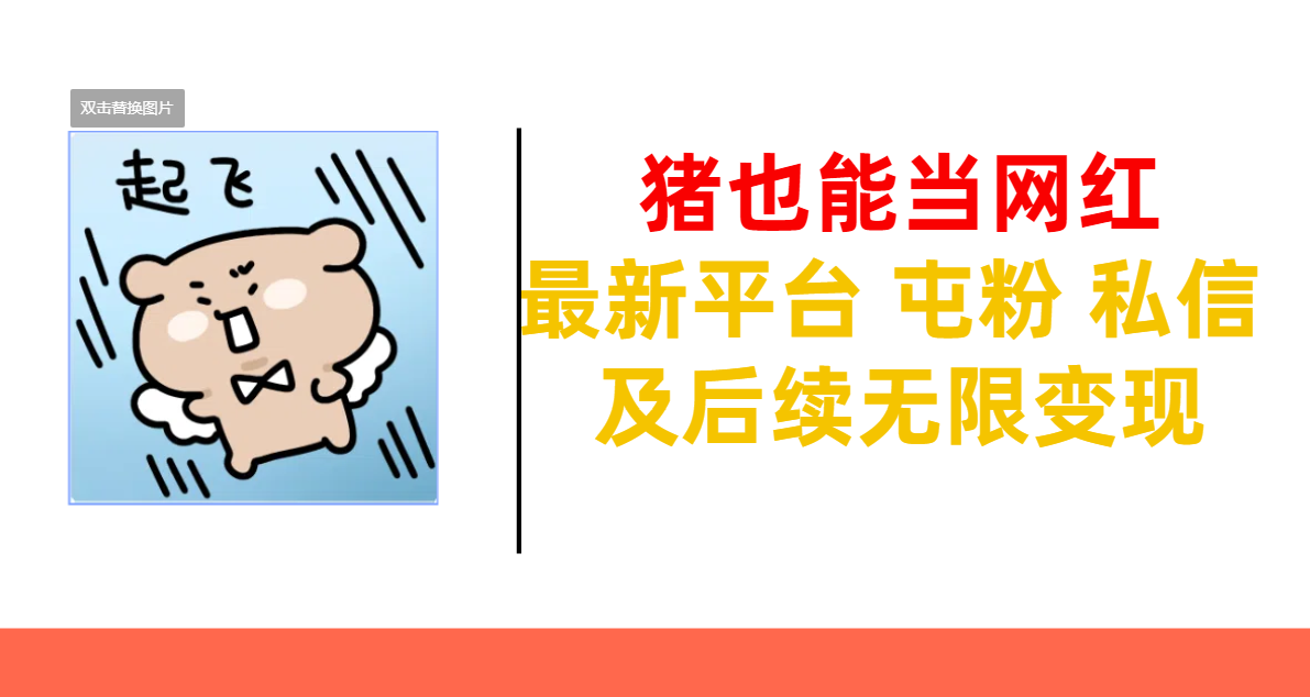 猪也能当网红-最新平台 屯粉 交流 私信 及后续无限变现-智领未来创业网