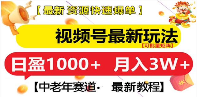 视频号独家玩法，老年养生赛道，无脑搬运爆款视频，日入1000+-智领未来创业网