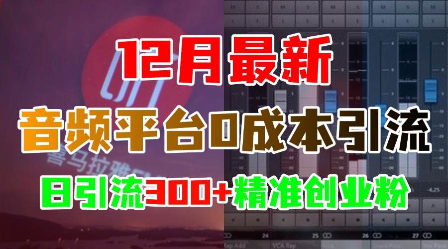 12月最新：音频平台0成本引流，日引300+精准创业粉-智领未来创业网